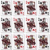 image:imageYouTheFan NCAA OfficiallyLicensed Playing Cards  Original Artwork on All face Cards and Jokers  Teams Official Colors  Quality Linen Texture  Designed in The USALouisville Cardinals
