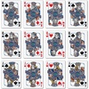image:imageYouTheFan NCAA OfficiallyLicensed Playing Cards  Original Artwork on All face Cards and Jokers  Teams Official Colors  Quality Linen Texture  Designed in The USAFlorida Gators