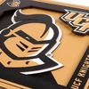 image:imageYouTheFan NCAA Wyoming Cowboys 3D Logo Series Wall Art  12x1212L x 12W