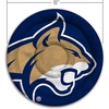 image:imageYouTheFan NCAA Wyoming Cowboys Flimzee BeanBag Flying DiscMontana State Bobcats