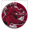 image:imageYouTheFan NCAA Wyoming Cowboys Flimzee BeanBag Flying DiscSouth Carolina Gamecocks