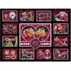 image:imageYouTheFan NCAA Wyoming Cowboys Kiss Cam 500pc PuzzleSouth Carolina Gamecocks