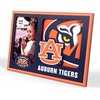 Auburn Tigers