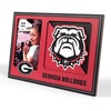 Georgia Bulldogs