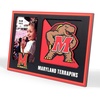 Maryland Terrapins
