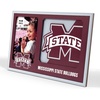 Mississippi State Bulldogs