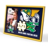 Notre Dame Fighting Irish