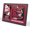 South Carolina Gamecocks