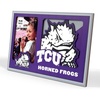 TCU Horned Frogs