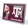 Texas A&M Aggies