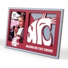 Washington State Cougars