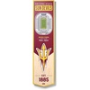 Arizona State Sun Devils