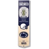 Penn State Nittany Lions