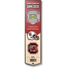 South Carolina Gamecocks