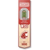 Washington State Cougars