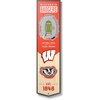 Wisconsin Badgers