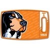 Tennessee Volunteers