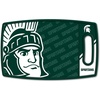 Michigan St Spartans
