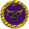 Minnesota St Mavericks