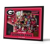 Georgia Bulldogs