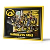 Iowa Hawkeyes