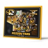 Missouri Tigers