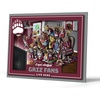 Montana Grizzlies