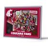 Washington State Cougars