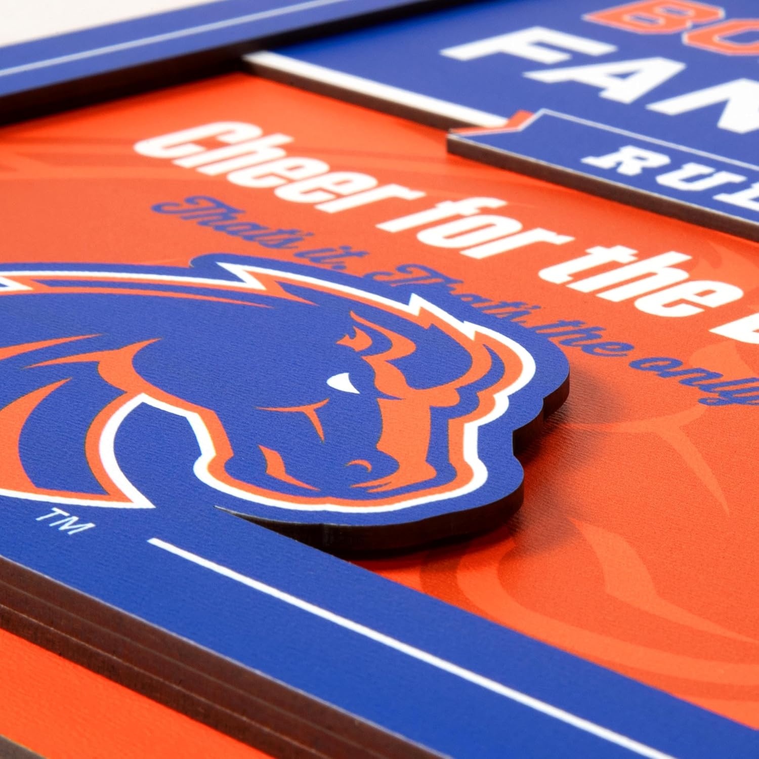 image:imageYouTheFan Officiallylicensed NCAA Tide Fan Rules Wall Art multiple layers humorous team artwork sports fan motto showcases funny rules indoor decorBoise State Broncos
