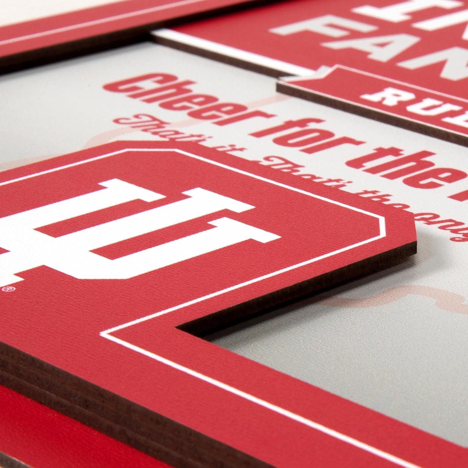 image:imageYouTheFan Officiallylicensed NCAA Tide Fan Rules Wall Art multiple layers humorous team artwork sports fan motto showcases funny rules indoor decorIndiana Hoosiers