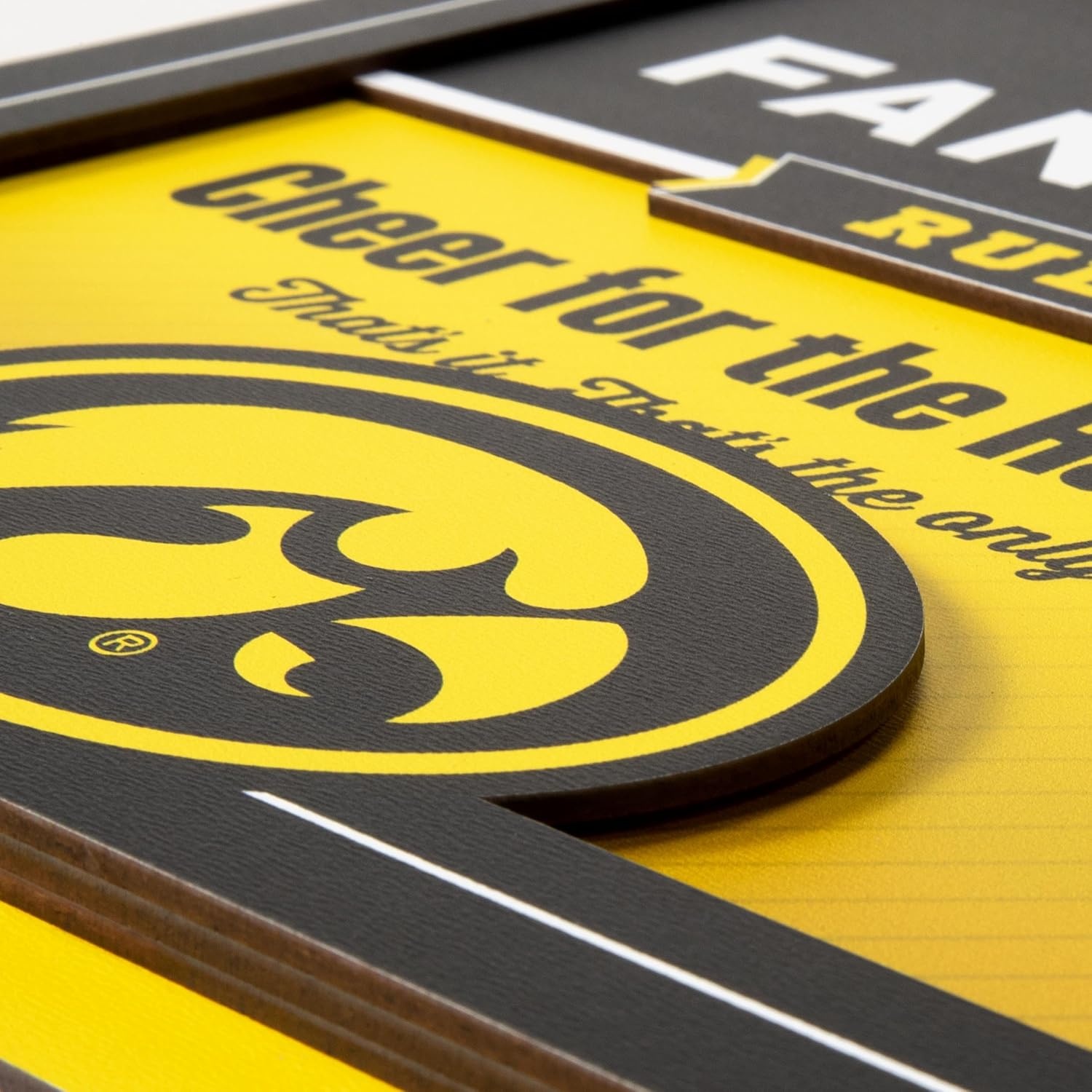 image:imageYouTheFan Officiallylicensed NCAA Tide Fan Rules Wall Art multiple layers humorous team artwork sports fan motto showcases funny rules indoor decorIowa Hawkeyes