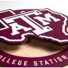 image:imageYouTheFan NCAA 3D Circle Backer Wall Art precisioncrafted multiple layers create striking depth readytohang officially licensed and visually stands outTexas AM Aggies