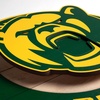 image:imageYouTheFan NCAA 3D Circle Backer Wall Art precisioncrafted multiple layers create striking depth readytohang officially licensed and visually stands outBaylor Bears