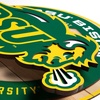 image:imageYouTheFan NCAA 3D Circle Backer Wall Art precisioncrafted multiple layers create striking depth readytohang officially licensed and visually stands outNorth Dakota State Bison