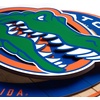 image:imageYouTheFan NCAA 3D Circle Backer Wall Art precisioncrafted multiple layers create striking depth readytohang officially licensed and visually stands outFlorida Gators