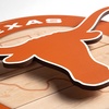 image:imageYouTheFan NCAA 3D Circle Backer Wall Art precisioncrafted multiple layers create striking depth readytohang officially licensed and visually stands outTexas Longhorns