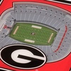 image:imageYouTheFan NCAA Licensed Fan Cribbage Wood Board GameGeorgia Bulldogs