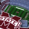 image:imageYouTheFan NCAA Licensed Fan Cribbage Wood Board GameMississippi State Bulldogs