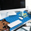 image:imageYouTheFan NCAA UCLA Bruins Logo Series Desk Pad SMU