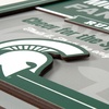 image:imageYouTheFan Officiallylicensed NCAA Tide Fan Rules Wall Art multiple layers humorous team artwork sports fan motto showcases funny rules indoor decorMichigan State Spartans