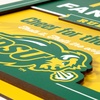 image:imageYouTheFan Officiallylicensed NCAA Tide Fan Rules Wall Art multiple layers humorous team artwork sports fan motto showcases funny rules indoor decorNorth Dakota State Bison