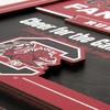 image:imageYouTheFan Officiallylicensed NCAA Tide Fan Rules Wall Art multiple layers humorous team artwork sports fan motto showcases funny rules indoor decorSouth Carolina Gamecocks