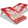 Houston Cougars
