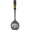 Iowa Hawkeyes