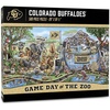 Colorado Buffaloes
