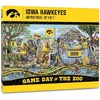 Iowa Hawkeyes