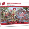 Wisconsin Badgers