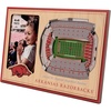 Arkansas Razorbacks