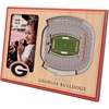Georgia Bulldogs