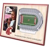 Washington State Cougars